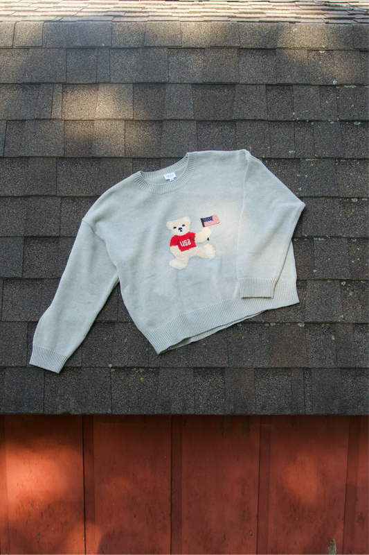 USA Cub Sweater
